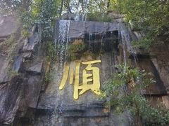 -三水森林公园