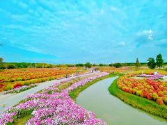 -花开海上生态园