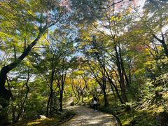 -常寂光寺