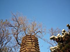 -玲珑塔公园
