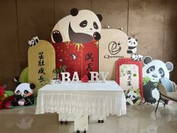 -艾薇朵朵全套房月子中心(江宁店)
