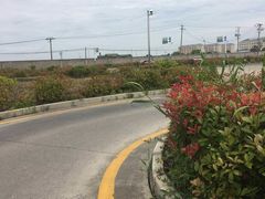 -安飞驰驾校·学车连锁(金高店)
