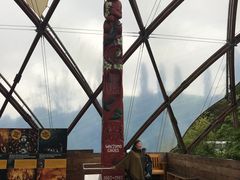 -怀托摩萤火虫洞