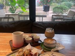 -东莞植物园