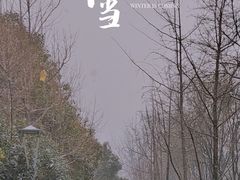 -海底捞火锅(高新万达广场店)