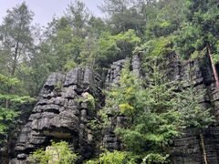 -梭布垭石林景区