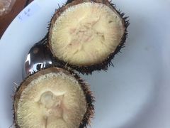 -海盗餐厅