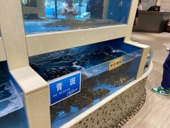 -双井轩(双井店)