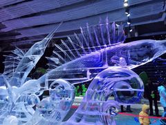 -宁波冰雪大世界(北仑区)