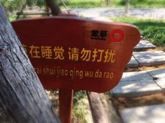 -东郊湿地公园