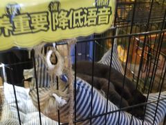 -蜜蜂家的红茶馆(华府店)