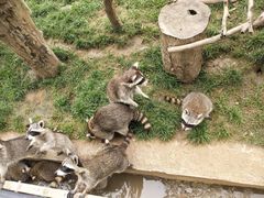 -辛玛王国游乐园