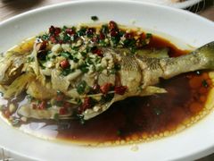 -阿杰臻选海鲜饭店(普陀山店)
