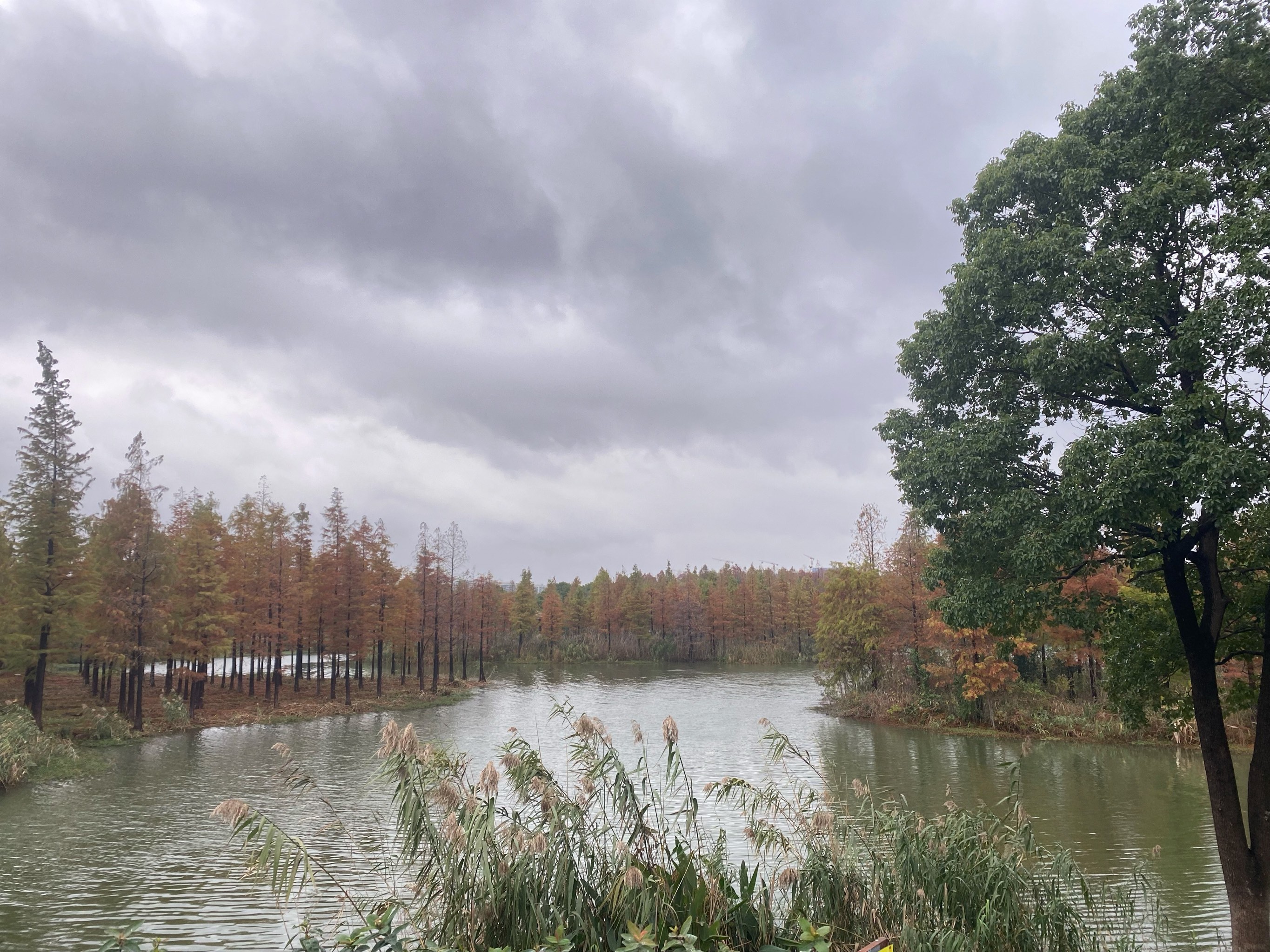 虎丘湿地公园电话图片