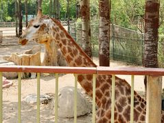 -大连森林动物园