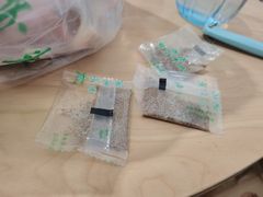 -洪记白水羊头(留学路店)
