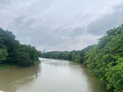 -海珠湖公园