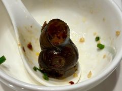 -红果树(江光店)