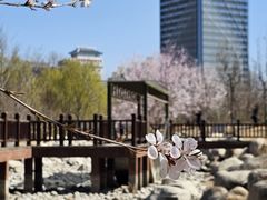 -莲花池公园