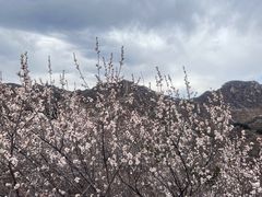 -龙泉峪长城