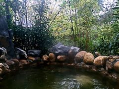-深业半汤御泉庄温泉