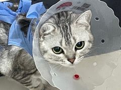 -北京恒爱动物医院(清景园分院)