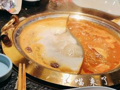 -熊喵来了火锅(长安万达第94分店)
