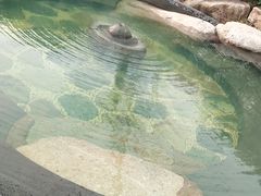 -溧阳天目湖天沐温泉