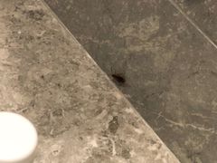 -成都九眼桥美居酒店