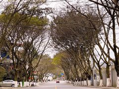 -南山植物园