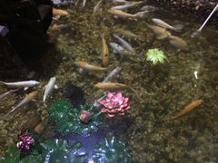 -台州海洋世界