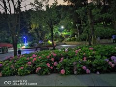 -阿哈湖国家湿地公园