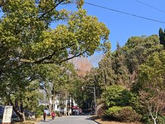 -大慈岩风景区