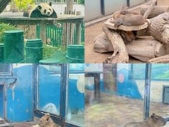 -大连森林动物园