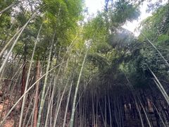 -天姥山景区