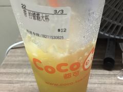 -CoCo都可(惠福店)
