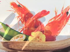 -德川家日本料理(喜隆多新国际店)