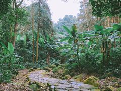 景点-福清灵石山国家森林公园