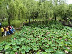-沐仙湖湿地公园