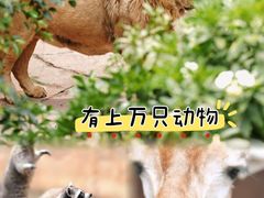 -长鹿旅游休博园