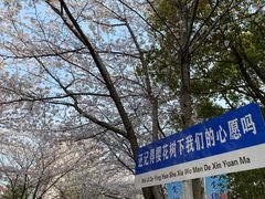 -高东镇樱花园