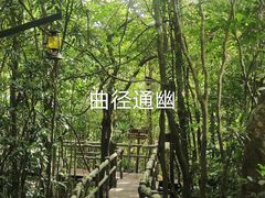 -三亚亚龙湾人间天堂鸟巢度假村