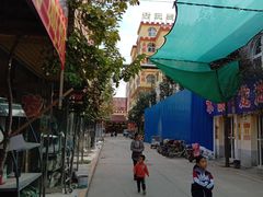 -保定市花鸟鱼虫市场