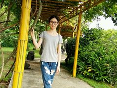 android_upload_pic-湖光岩风景区