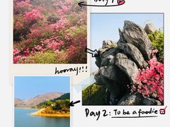 -木兰云雾山