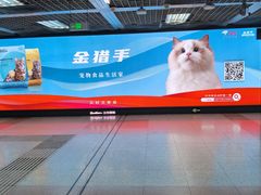 -大望路(地铁站)