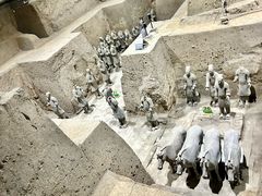 -秦始皇帝陵博物院(兵马俑)