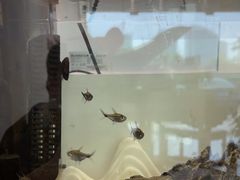 -花夏之音·成人音乐空间(滨江龙湖天街店)