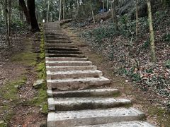 -上海佘山国家森林公园天马山园