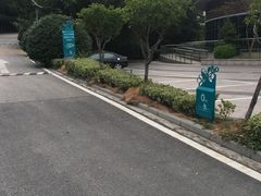 -上海市保健医疗中心(华东疗养院)